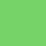 Neon Lime Green Shiny Tricot